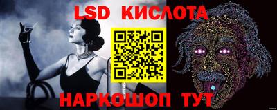 индика Кандалакша