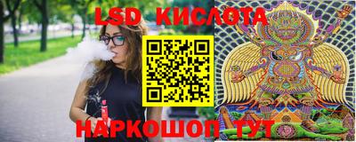 индика Кандалакша