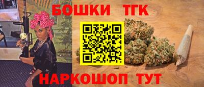 индика Кандалакша
