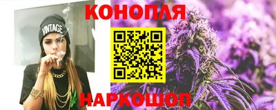 индика Кандалакша
