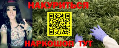 индика Кандалакша