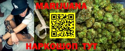 индика Кандалакша