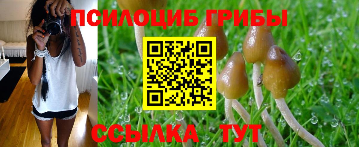 Галлюциногенные грибы MAGIC MUSHROOMS Жуковский